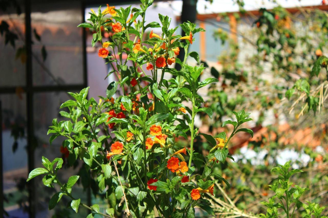 Casa De Mama Valle - Urubamba Eksteriør billede