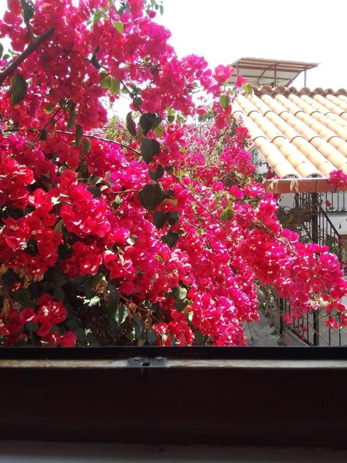 Casa De Mama Valle - Urubamba Eksteriør billede