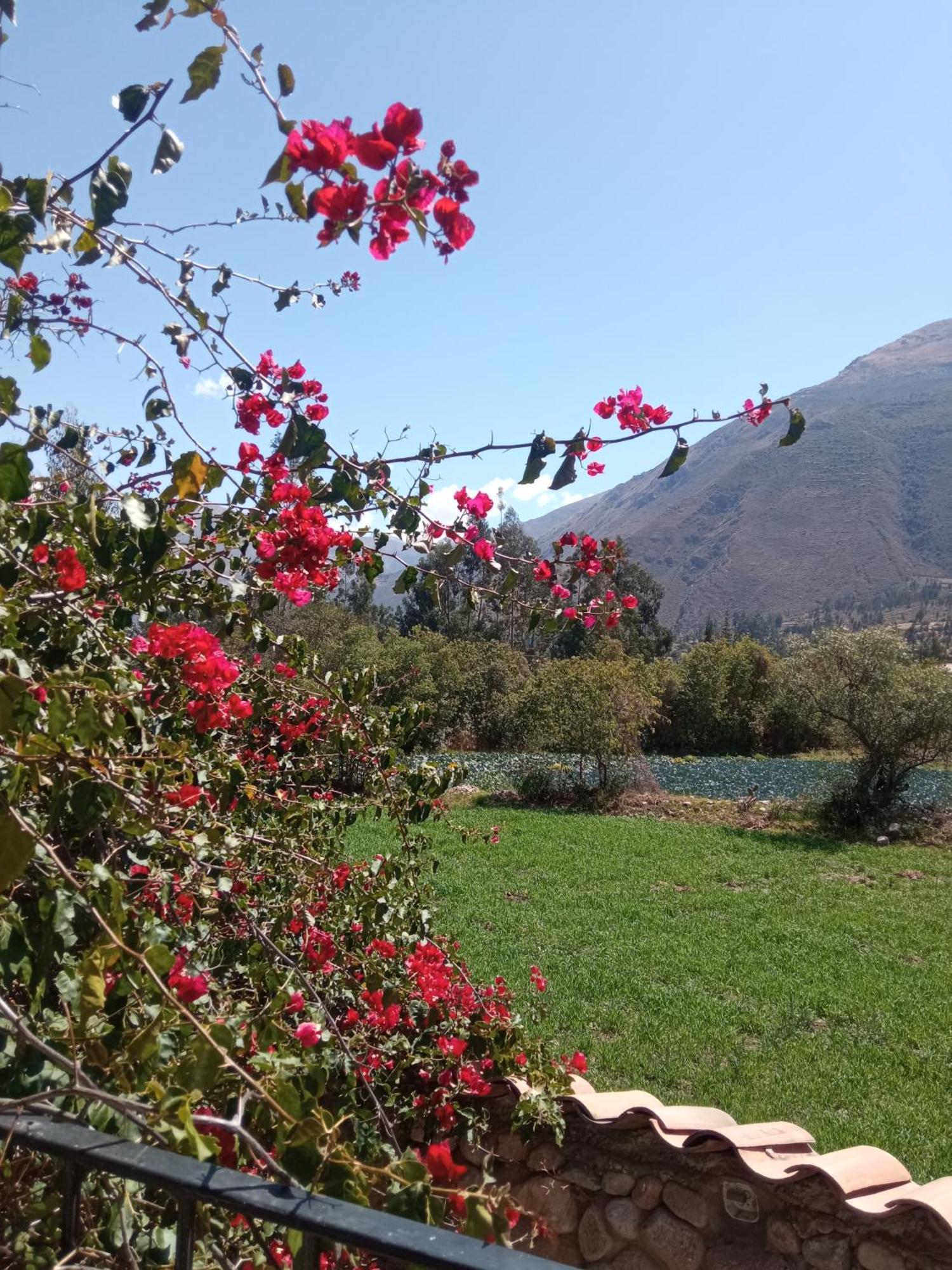 Casa De Mama Valle - Urubamba Eksteriør billede